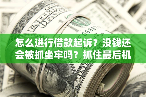 济南怎么进行借款起诉？没钱还会被抓坐牢吗？抓住最后机会！