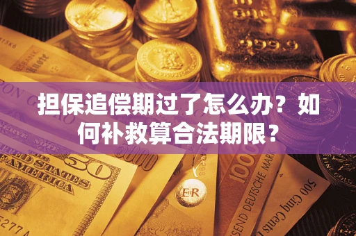 济南担保追偿期过了怎么办？如何补救算合法期限？